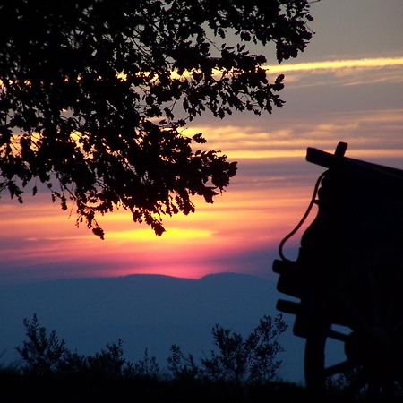 Agriturismo Le Vigne Фолиньо Экстерьер фото